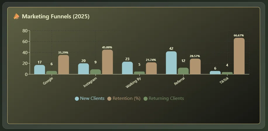 Marketing funnels bar chart comparing new clients, returning clients and retention across Google, Instagram, walk-ins, referrals and TikTok.